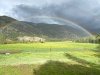 vickers ranch rainbow