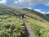 Handies Peak Hike