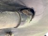 rv rodent control