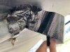 rv rodent control