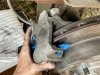 Replace Trailer Disc Brake Pads
