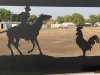 Rawlins Fairgrounds