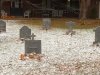 Halloween Yard Art