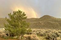 Washoe Lake Rainbow