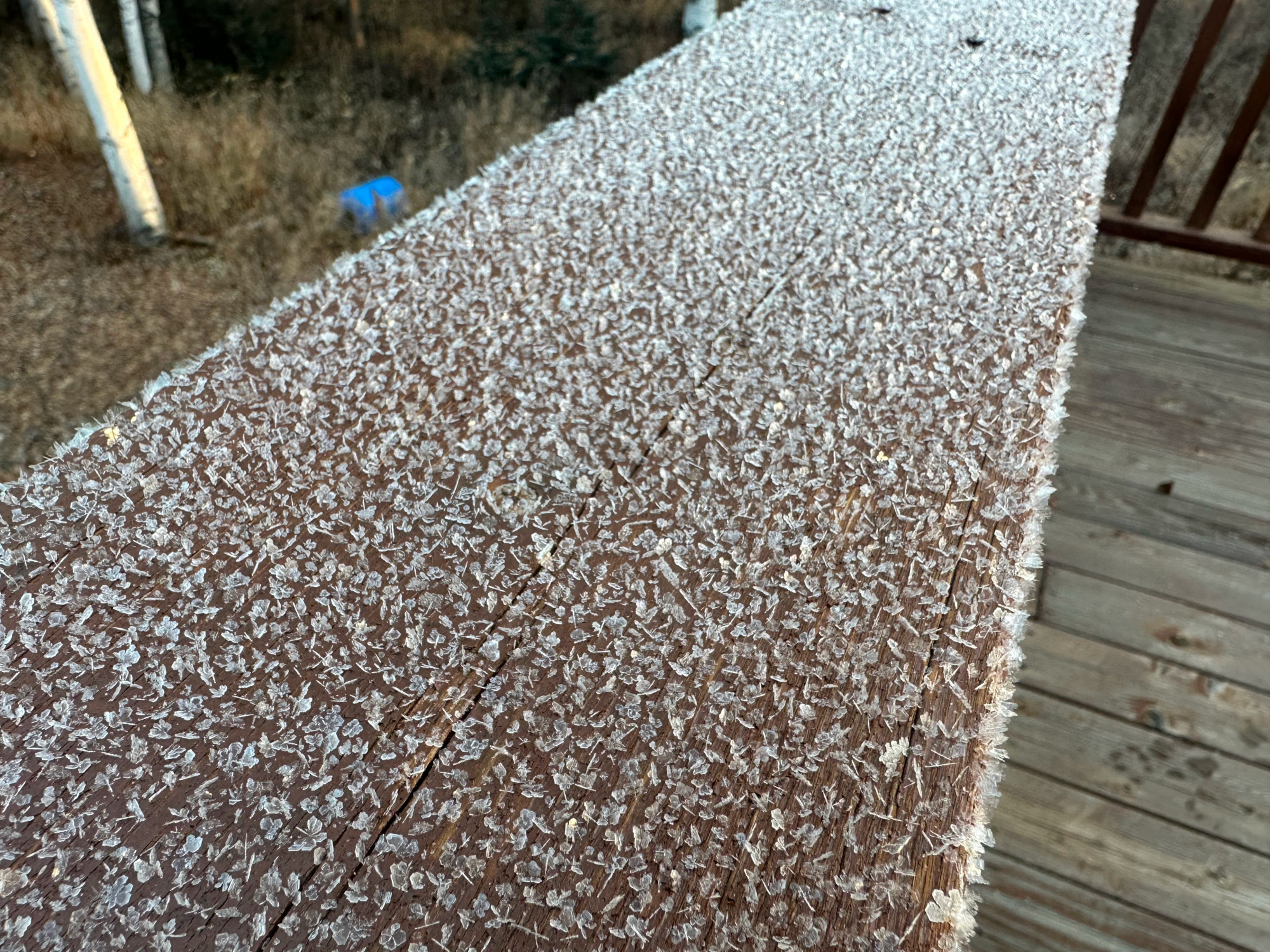 Hoarfrost on our deck