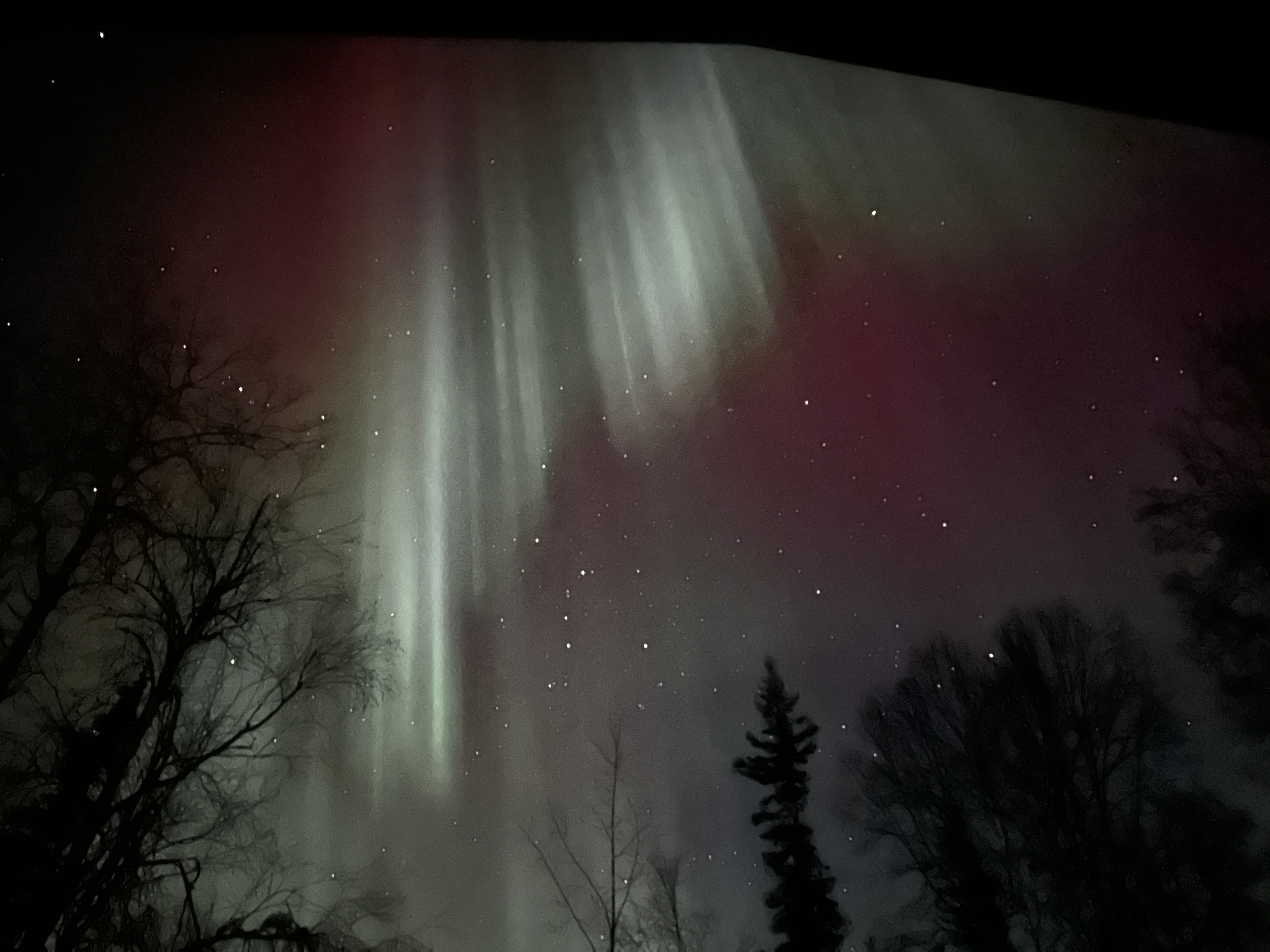 Northern Lights View from Willow, Alaska, November 21, 2023