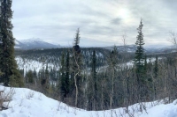 Denali in Winter