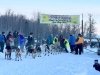 Knik 200 Sled Dog Race