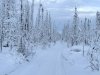 Windsock Trail