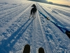 Skijoring on Willow Lake
