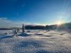 Willow Lake Afternoon in Winter