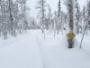 Lucky Shot Trail