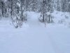 Lucky Shot Trail