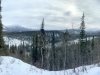 Denali in Winter