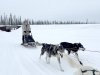 first time mushing
