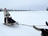 first time mushing