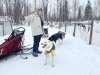crazy mushers