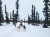 031624w_willow-002