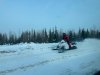 Snowmachining in Denali