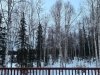Nine pm Willow Alaska