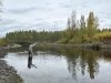 Fly Fishing Alaska