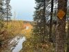 Almond Lake Trail Willow Alaska