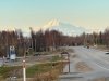 Denali View from Willow
