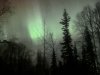 northern lights