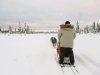 Jim Mushing