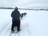 Rene Mushing