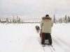 first time mushing