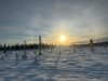 Willow Swamp Sled Run