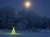 Christmas on Shirley Lake