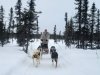 Mushing Willow Trails