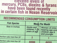 Noxious Poisonous fish from Noxon River, Montana