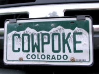 Colorado Cowpoke Vanity License Plate