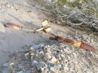Old Unexploded Ordnance in Slab City Desert Sand