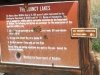 No Target Shooting, Only Signs