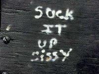 Suck it up Sissy, Northwood Arctic Fox Factory Tour