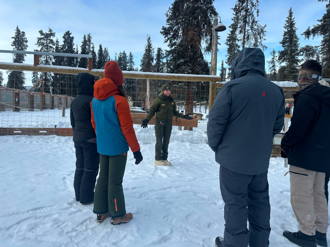 Ranger gives tourists instruction at Denali Sled Dog Kennels