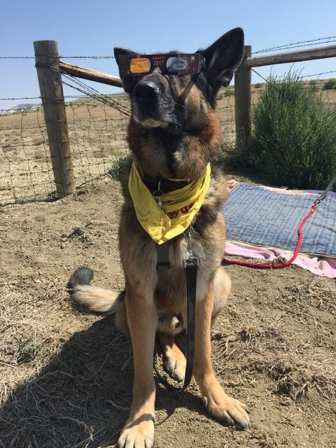 2017 Wyoming Eclipse Madness Tripawd