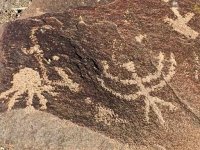 Petroglyphs at Painted Rock Campground Gila Bend, AZ