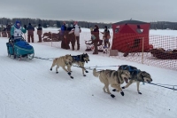 2024 Iditarod