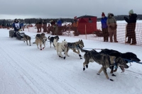 2024 Iditarod