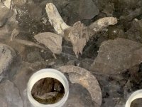 skull cave