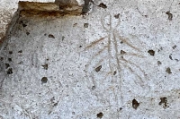 lava beds petroglyphs