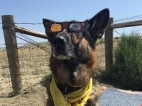 2017 Wyoming Eclipse Madness Tripawd