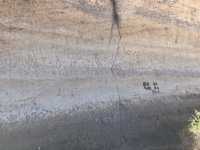 Lava Beds Petroglyphs