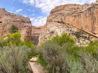 Dinosaur National Monument Hog Canyon Trail