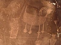 petroglyphs